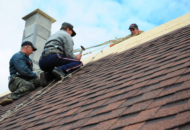 Best Residential Roofing Contractor  in Aho Falls, ID